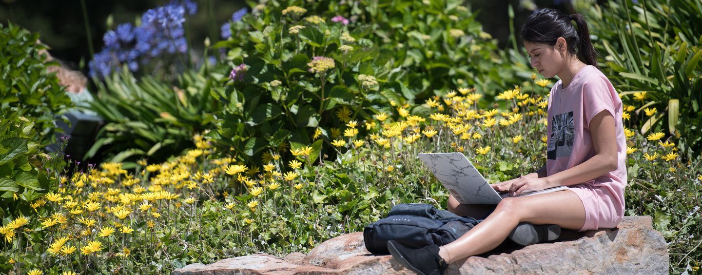Student takes an online course on a rock by some flowers