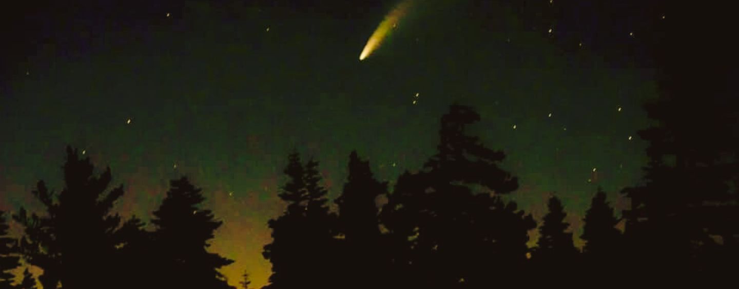 A meteor streaks through the starry sky over the Sierra Nevada Field Campus