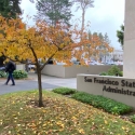 Fall leaves on a tree and the ground outside of the Administration building