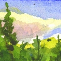 Sierra sky and tree tops painted in watercolor