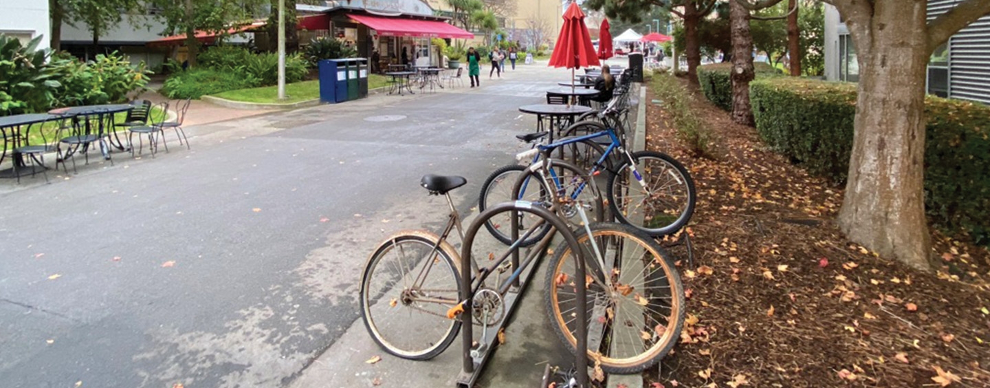 Bicycles parked on campus by fall leaves