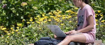 Student studying on computer on a rock, with yellow flowers